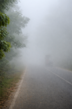🌫️ कोहरा सिखाता है ज़िंदगी का सबक ✨ जब कुछ न दिखे तब भी चलते रहो